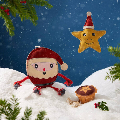 Christmas Eco Toy Combo