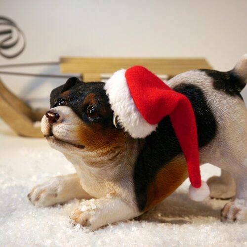 Seasonal