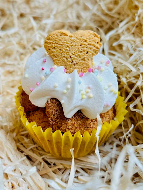 Life of Riley - Pawty Pupcake - Image 2