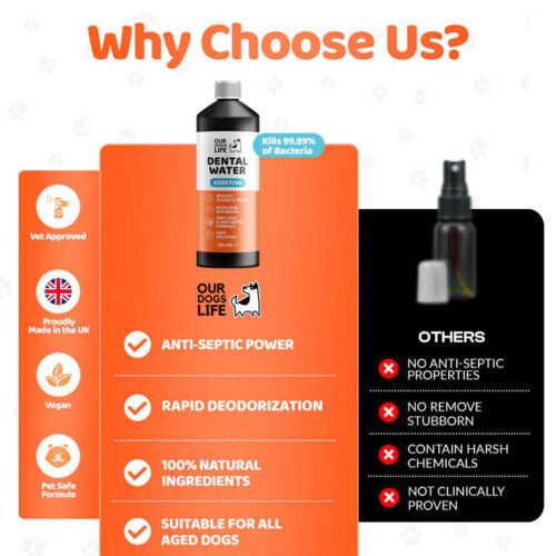Our Dogs Life - Dental Water Additive - Image 3