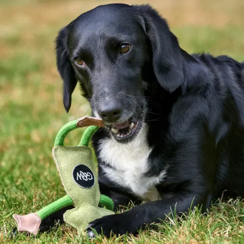 Francois Le Frog - Green & Wild's Eco Toy - Image 4