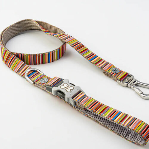 Leads