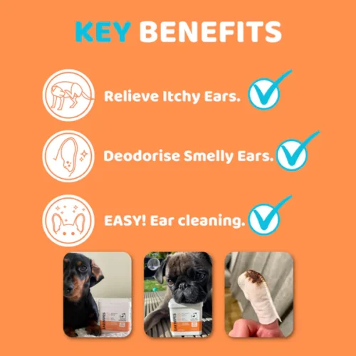 Alternative view of Our Dog's Life - Ear Wipes