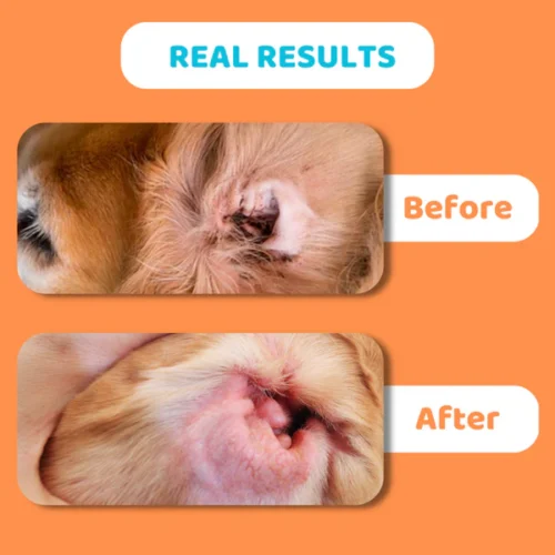 Our Dog's Life - Ear Wipes - Image 4