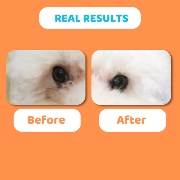 Our Dog's Life - Eye Drops - Image 4