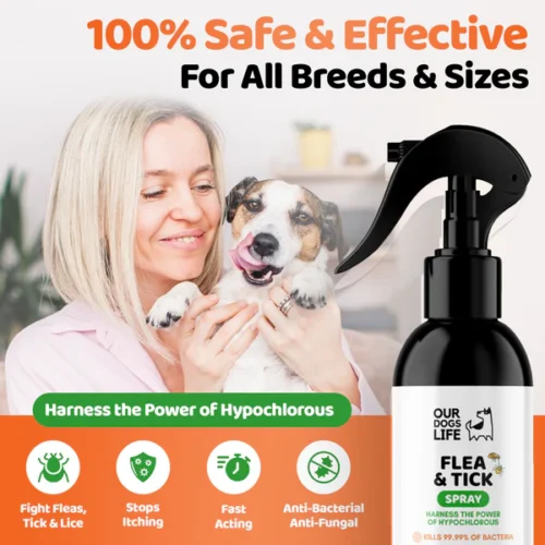 Our Dog's Life - Flea & Tick Spray - Image 3