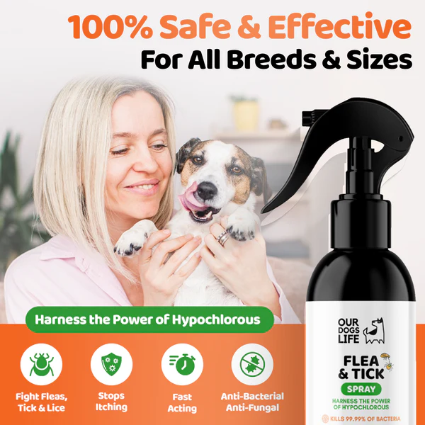 Our Dog's Life - Flea & Tick Spray - Image 3