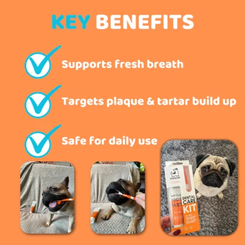 Alternative view of Our Dog's Life - Toothpaste & Toothbrush Set