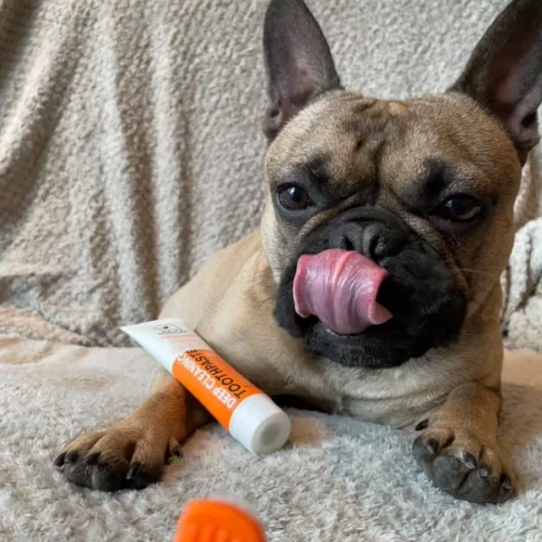 Our Dog's Life - Toothpaste & Toothbrush Set - Image 3