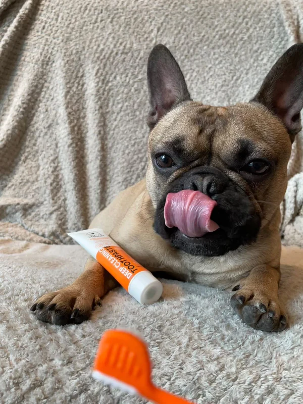 Our Dog's Life - Toothpaste & Toothbrush Set - Image 3