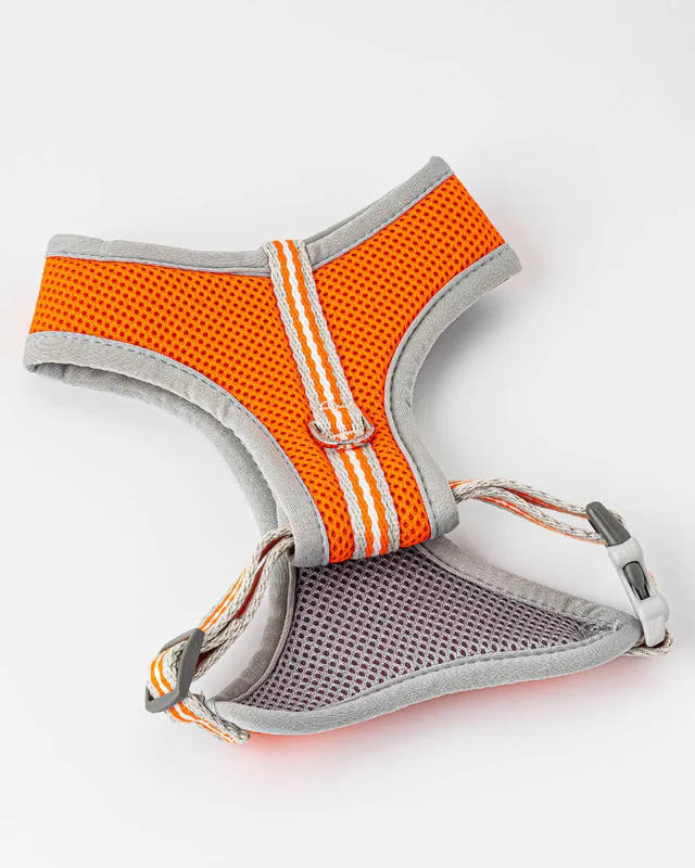 Hugo Hudson Orange Mesh Harness - Image 3