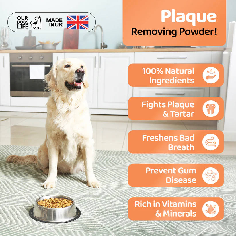 Our Dog's Life - Plaque Removing Powder - Image 3