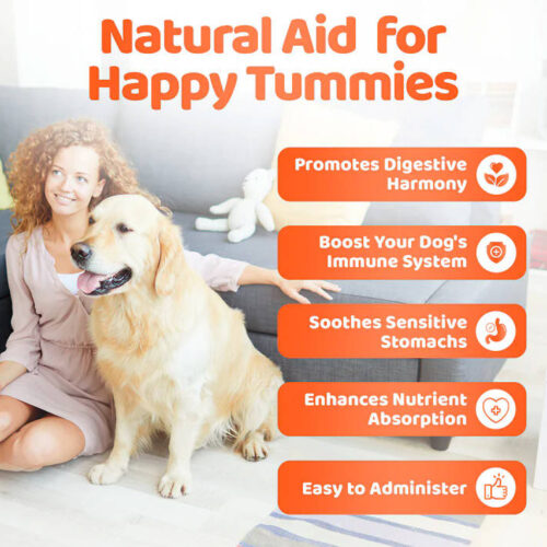 Our Dogs Life - Probiotic Digestive Supplement - Image 3