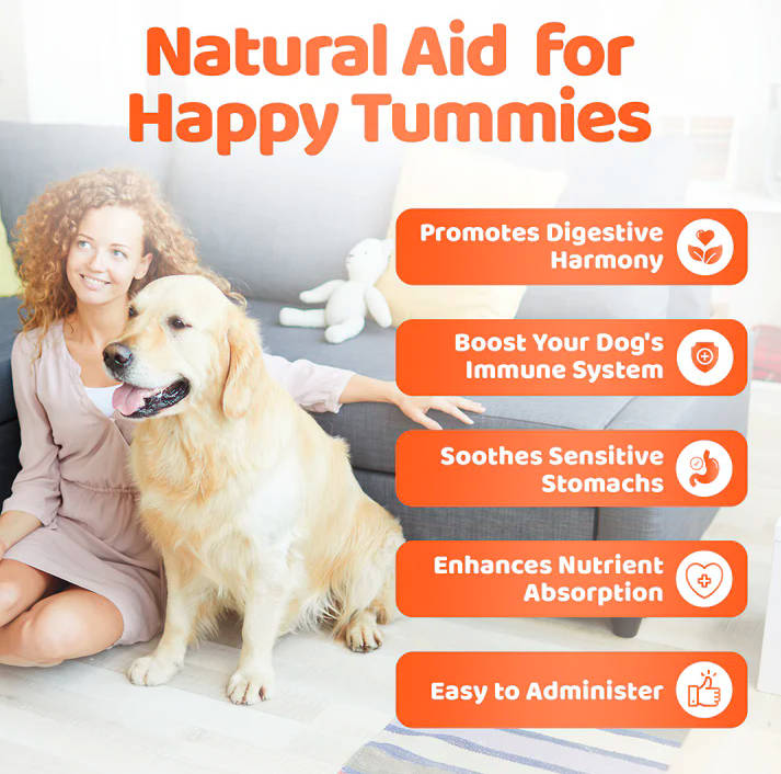 Our Dogs Life - Probiotic Digestive Supplement - Image 3