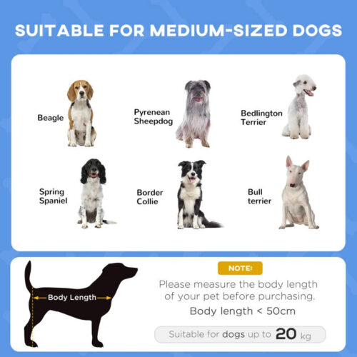 Raised Dog Bed for MEDIUM Dogs - Image 3