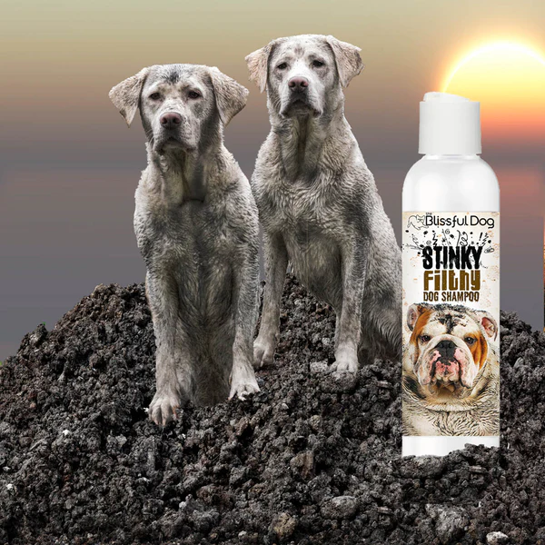 Stinky Filthy Dog Shampoo - Image 2