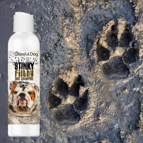 Stinky Filthy Dog Shampoo - Image 3