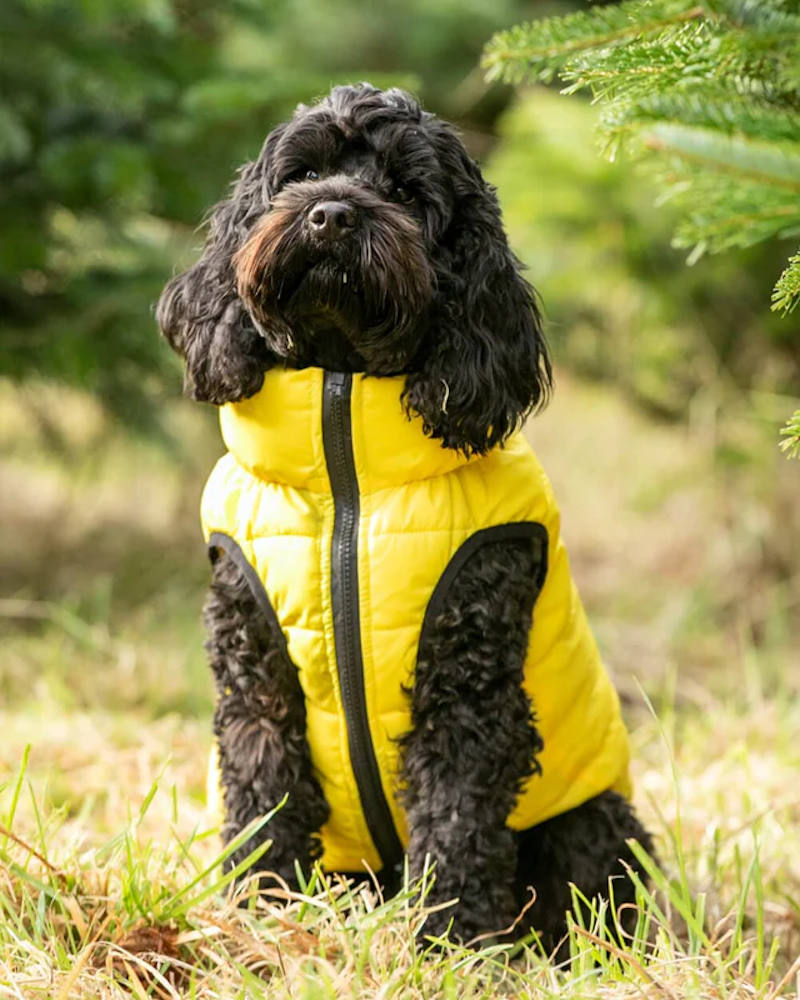 Hugo and Hudson - Reversible Dog Puffer Jacket - Yellow and Grey - Image 2